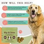 Dog Hip and Joint Soft Chews product image 3