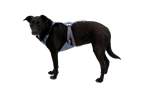 Crash-Tested Dog Car Harness product image 8