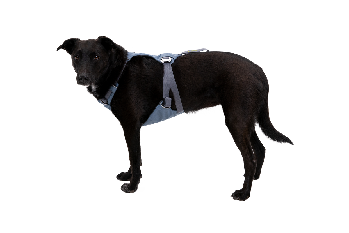 Crash-Tested Dog Car Harness product image 8