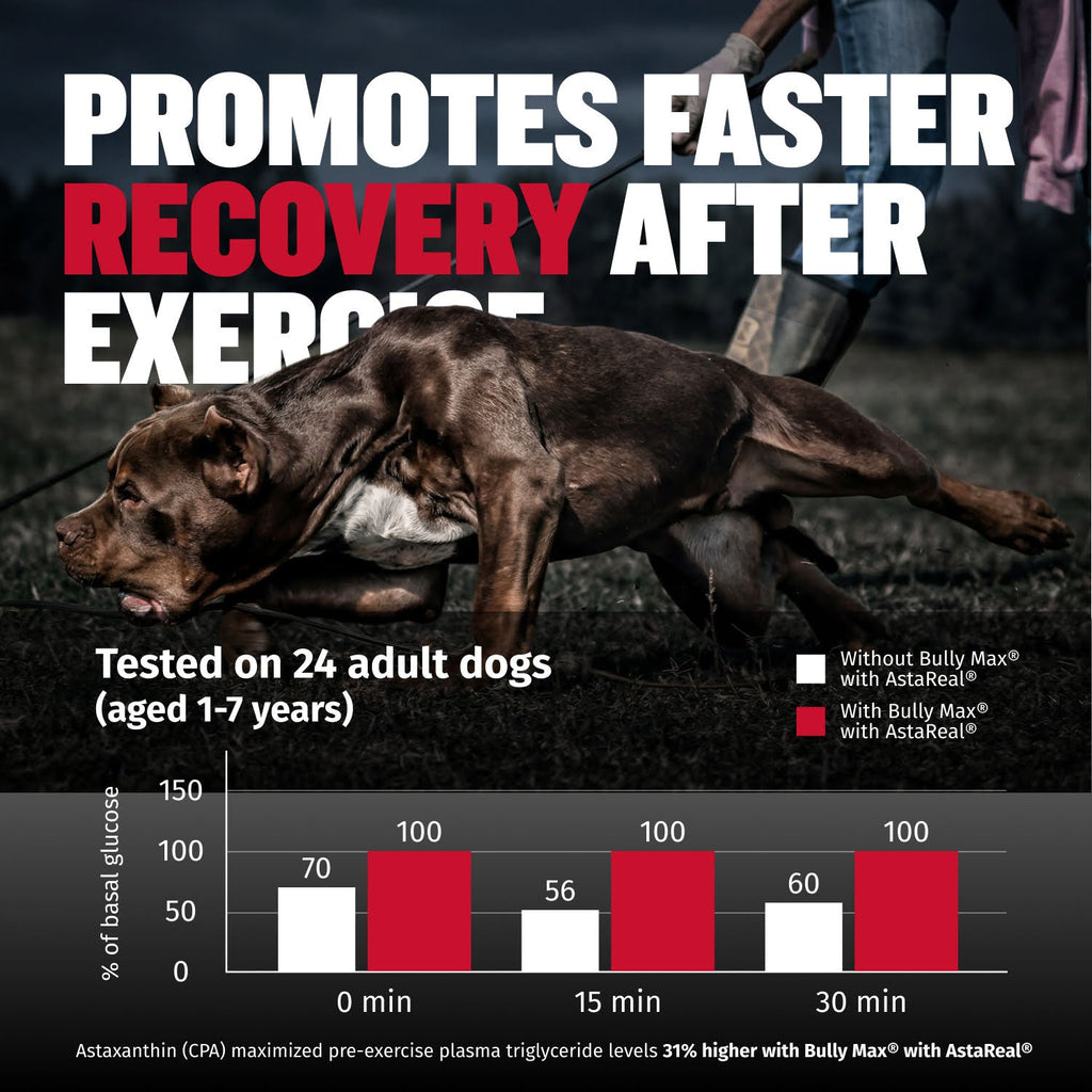 Liquid Muscle Support Supplement for Dogs product image 7