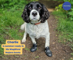 Breathable Rubber Dog Boots product image 2