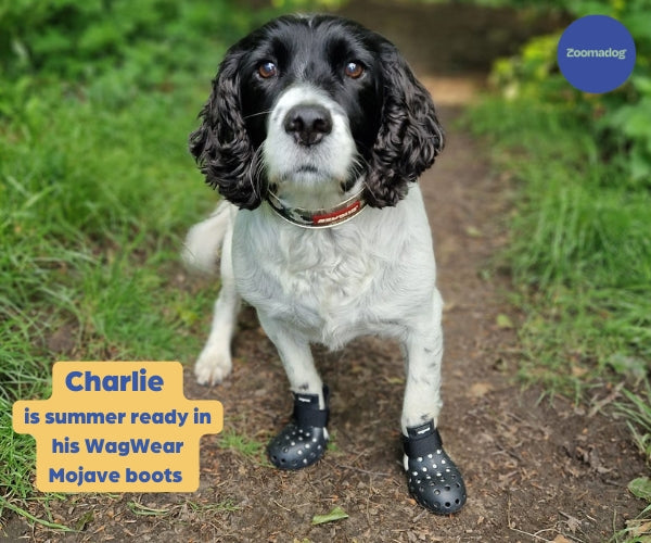 Breathable Rubber Dog Boots product image 2