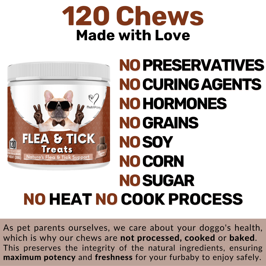 Flea and Tick Support Chews for Dogs product image 9