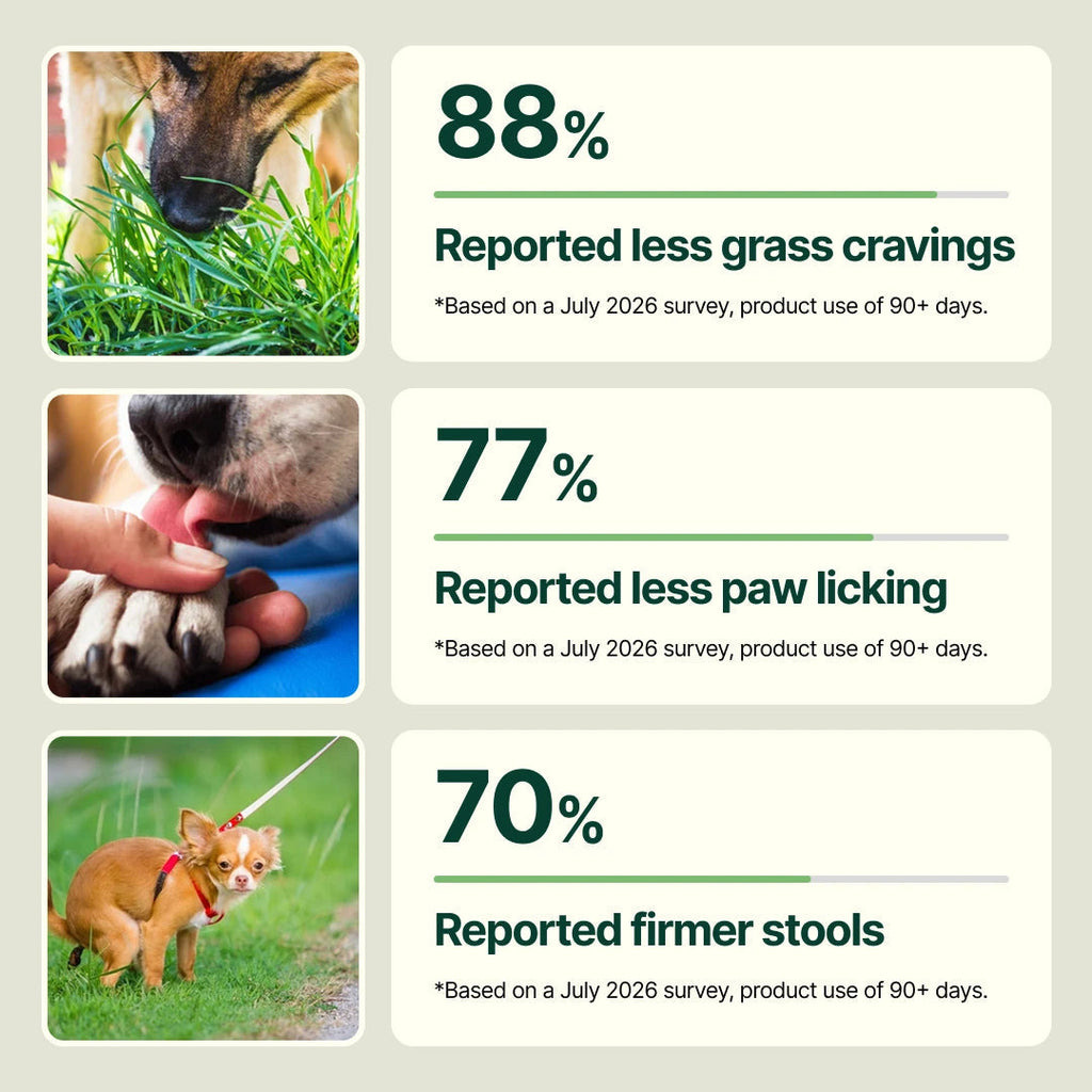 Daily Dog Multivitamin Soft Chews product image 5