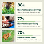 Daily Dog Multivitamin Soft Chews product image 5