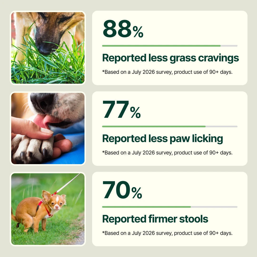 Daily Dog Multivitamin Soft Chews product image 5
