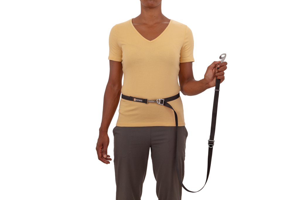 Adjustable Double-Ended Dog Leash product image 10