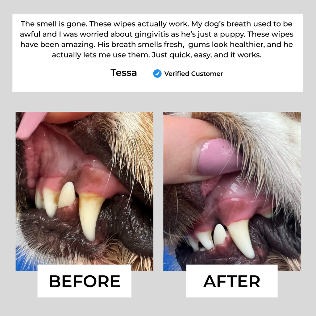 Pet Dental Finger Wipes product image 6