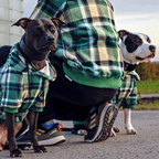 Green Plaid Adult Fleece Hoodie product image 4