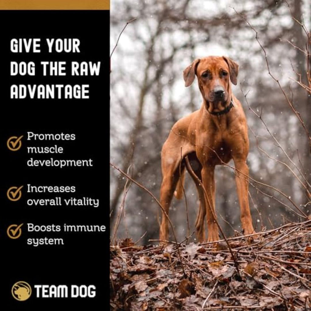 Raw Beef Dog Food product image 6