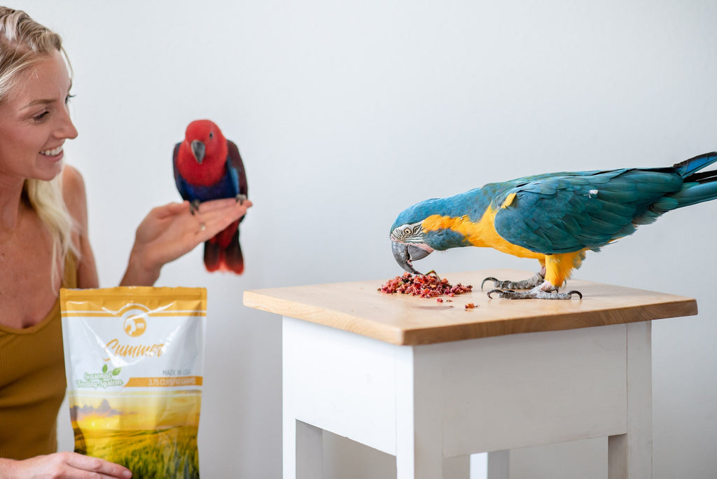 Freeze-Dried Seasonal Parrot Food product image 6