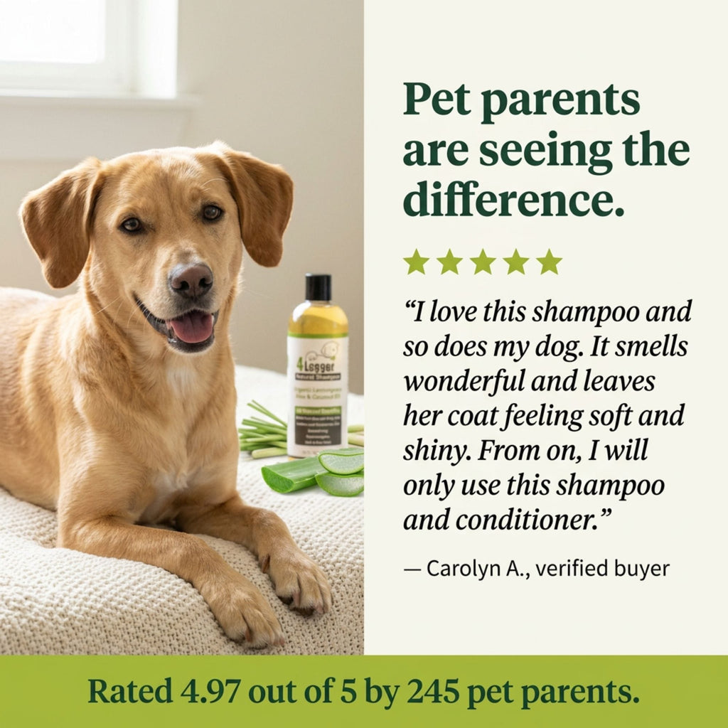 Organic Dog Shampoo product image 9