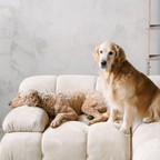 Dog Calming Supplement product image 2