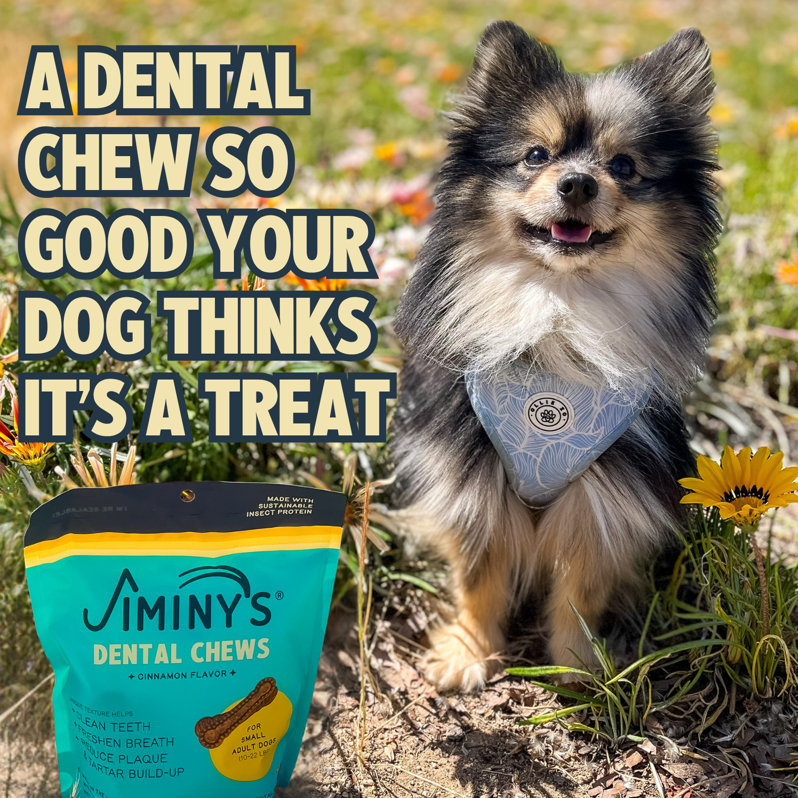 Dog Dental Chews product image 3