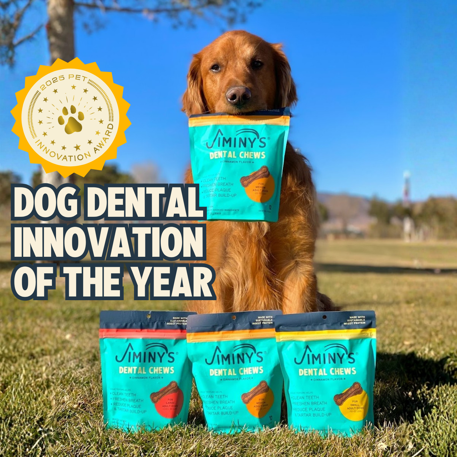 Dog Dental Chews product image 5