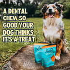 Dog Dental Chews product image 3