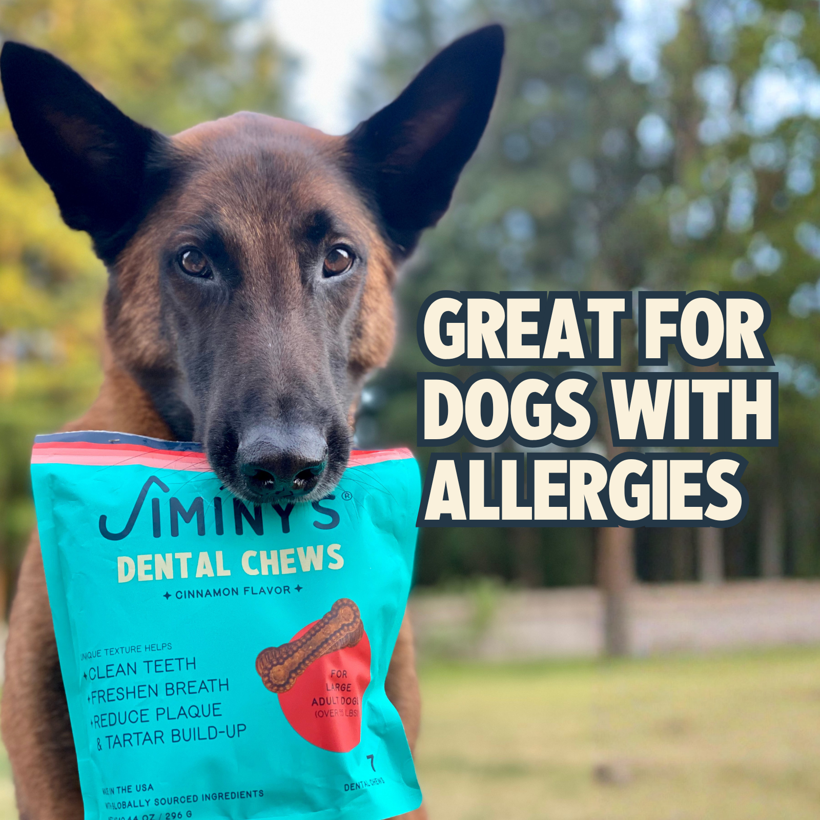 Dog Dental Chews product image 6