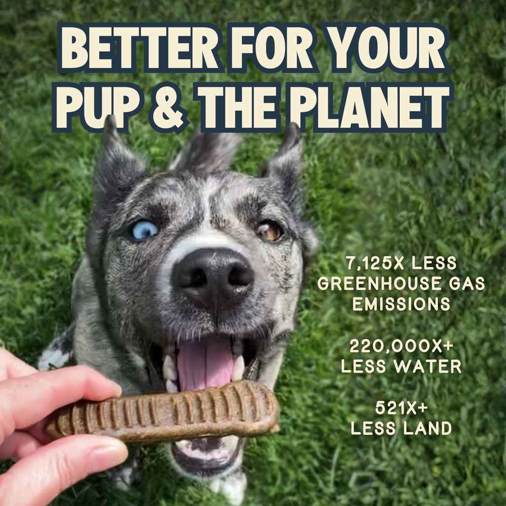 Dog Dental Chews product image 8