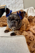Dog Blanket product image 11