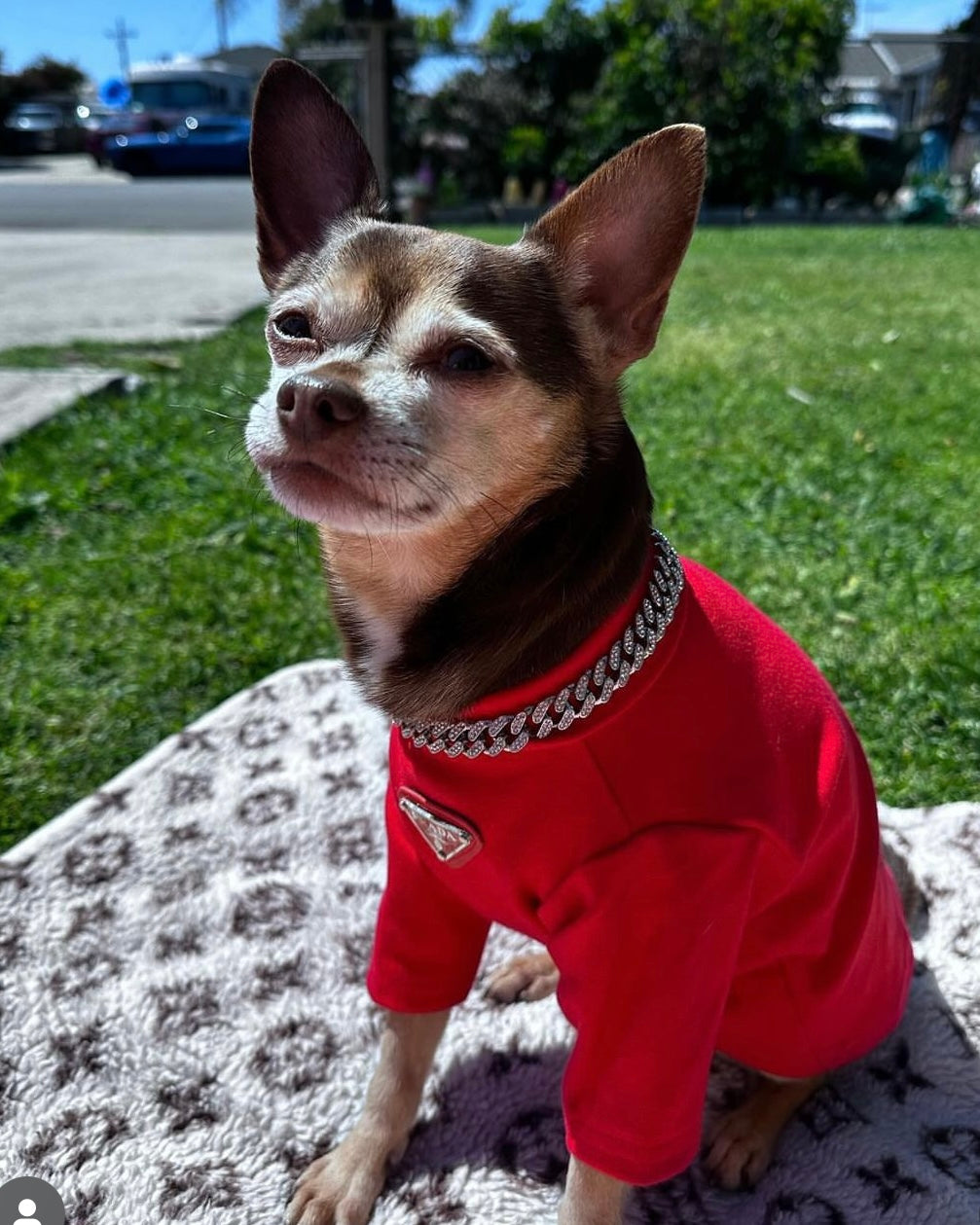 Dog Blanket product image 12