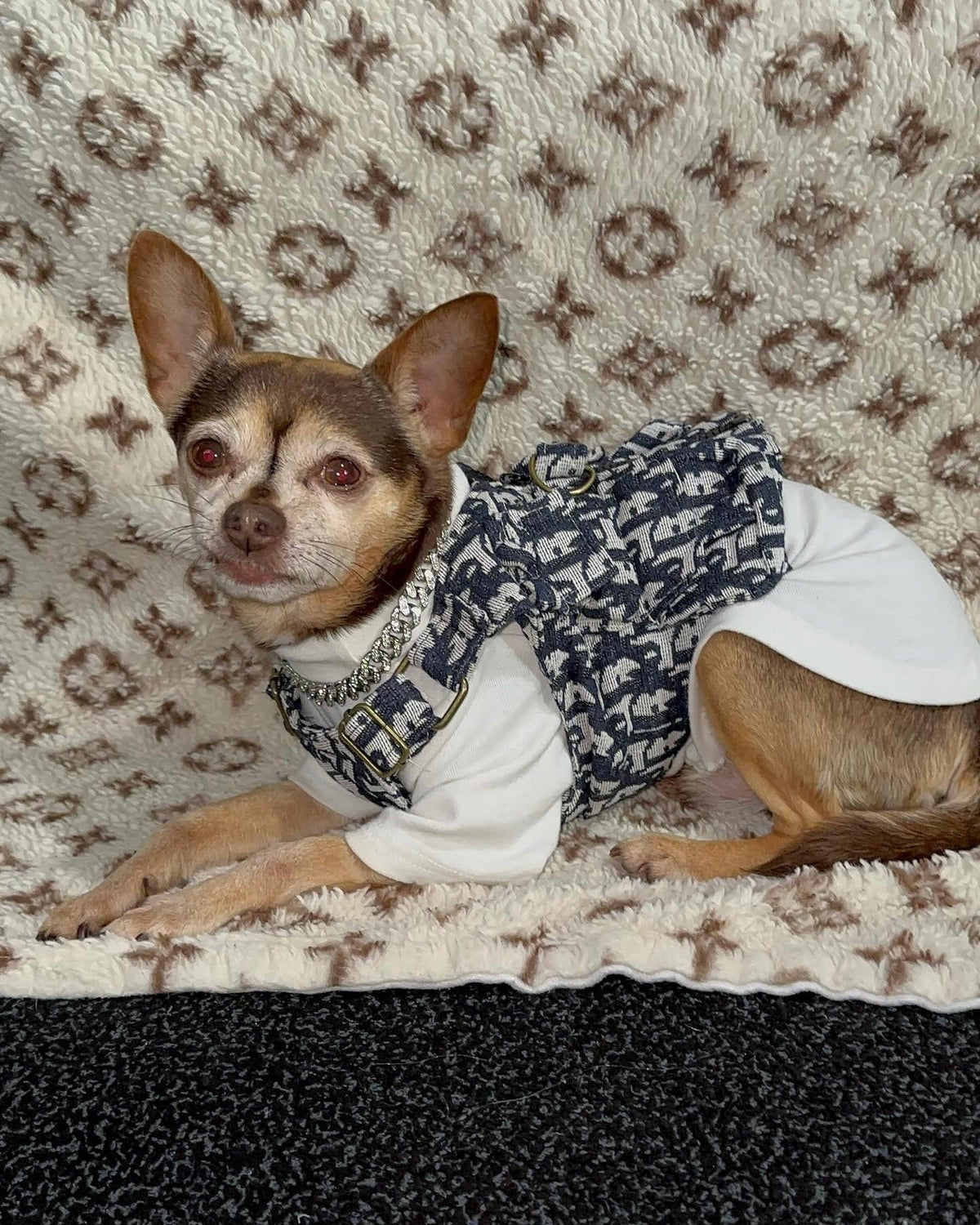 Dog Blanket product image 14