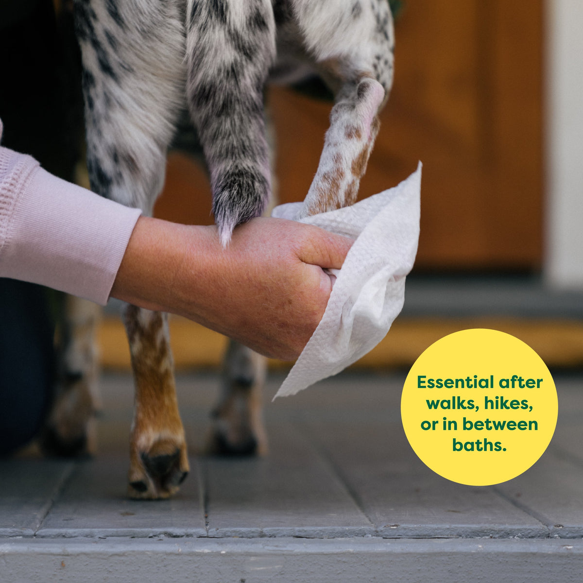 Dog Grooming Wipe Pack product image 5