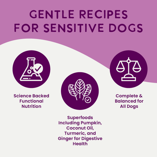 Wet Dog Food product image 6
