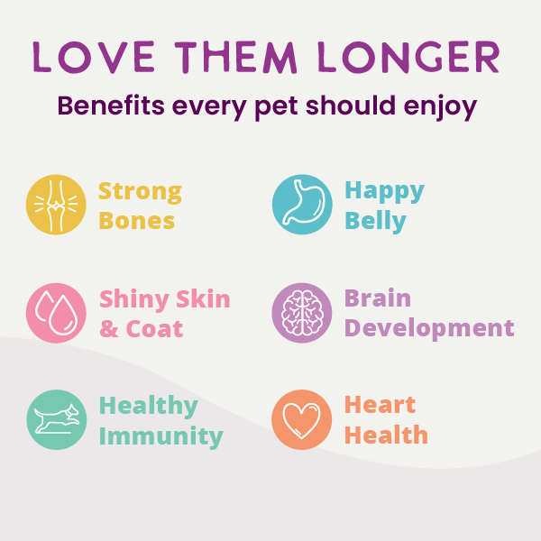 Wet Dog Food product image 7