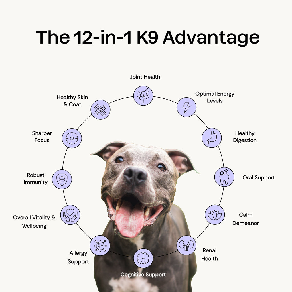 Dog Microbiome Powder Supplement product image 2