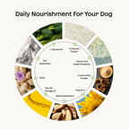 Dog Microbiome Powder Supplement product image 3
