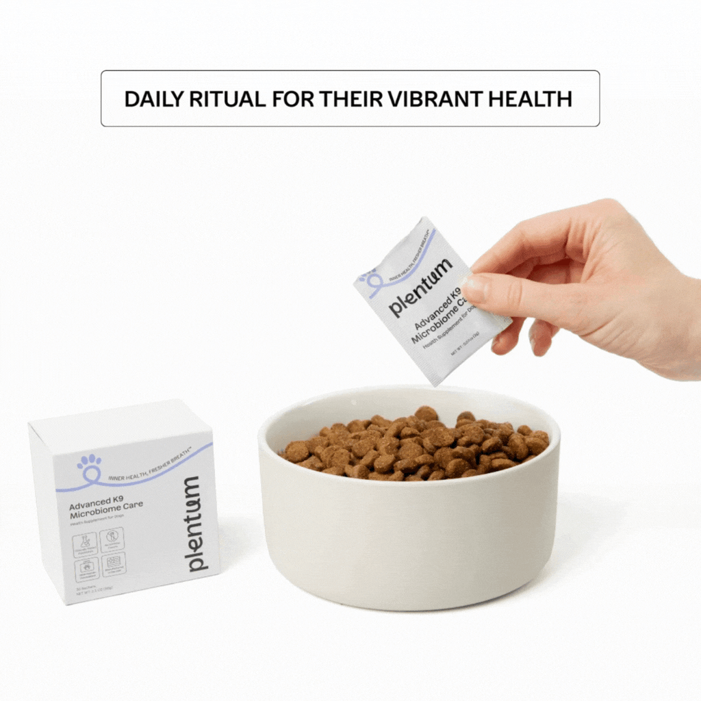 Dog Microbiome Powder Supplement product image 7