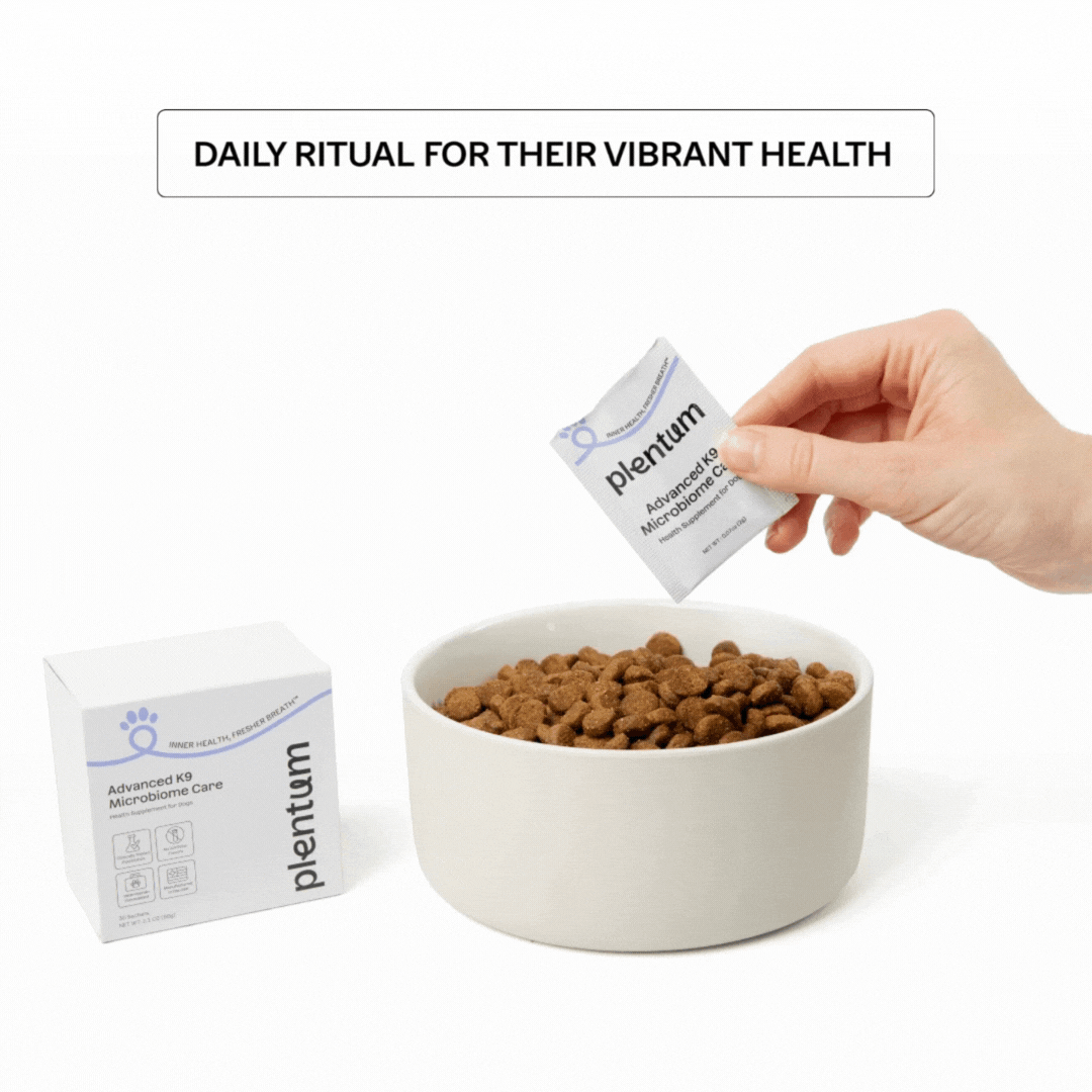 Dog Microbiome Powder Supplement product image 7