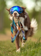 Dog Leash product image 15