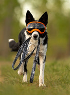 Dog Leash product image 18