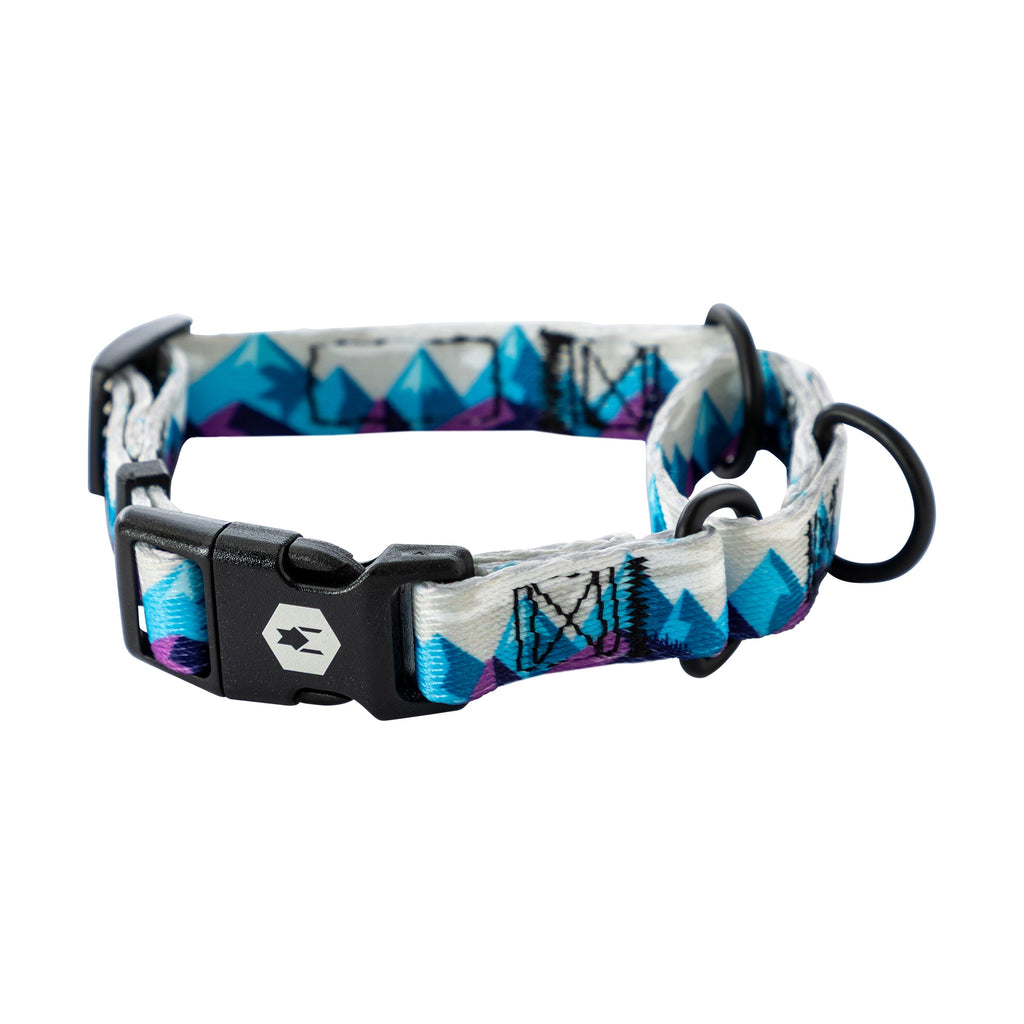 Martingale Dog Collar product image 1