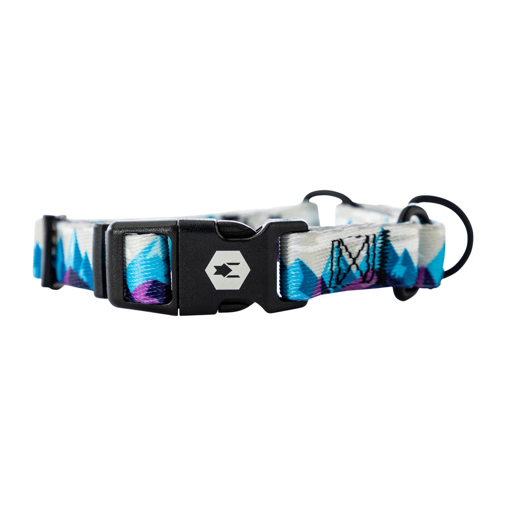 Martingale Dog Collar product image 7