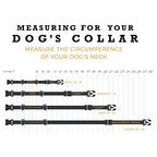 Martingale Dog Collar product image 5