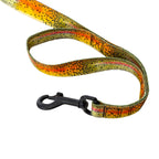 Dual Handle Dog Leash product image 5