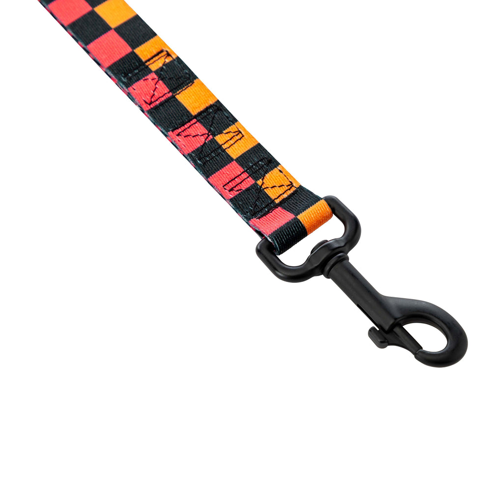 Dual Handle Dog Leash product image 5