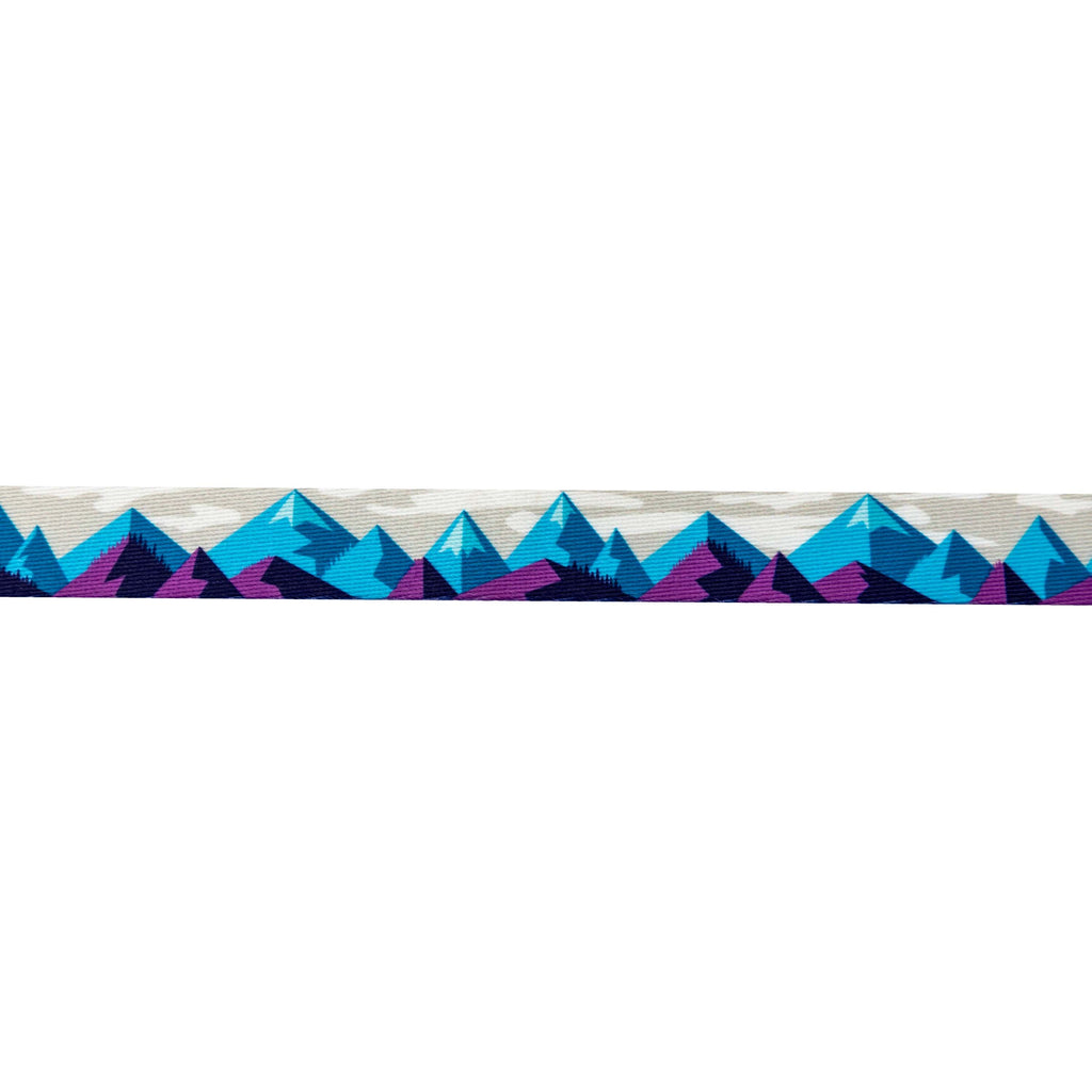 Dual Handle Dog Leash product image 3