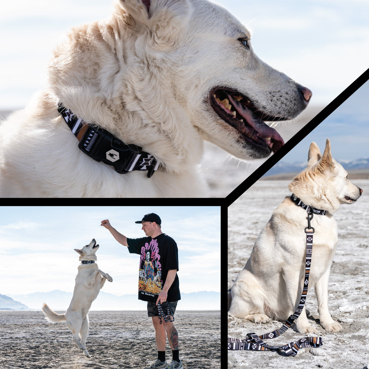 Wide Dog Collar product image 5