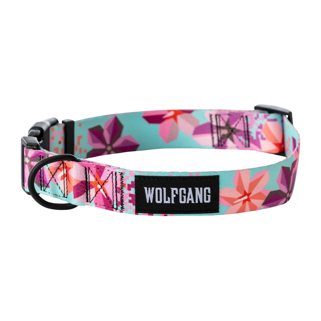 Wide Dog Collar product image 1