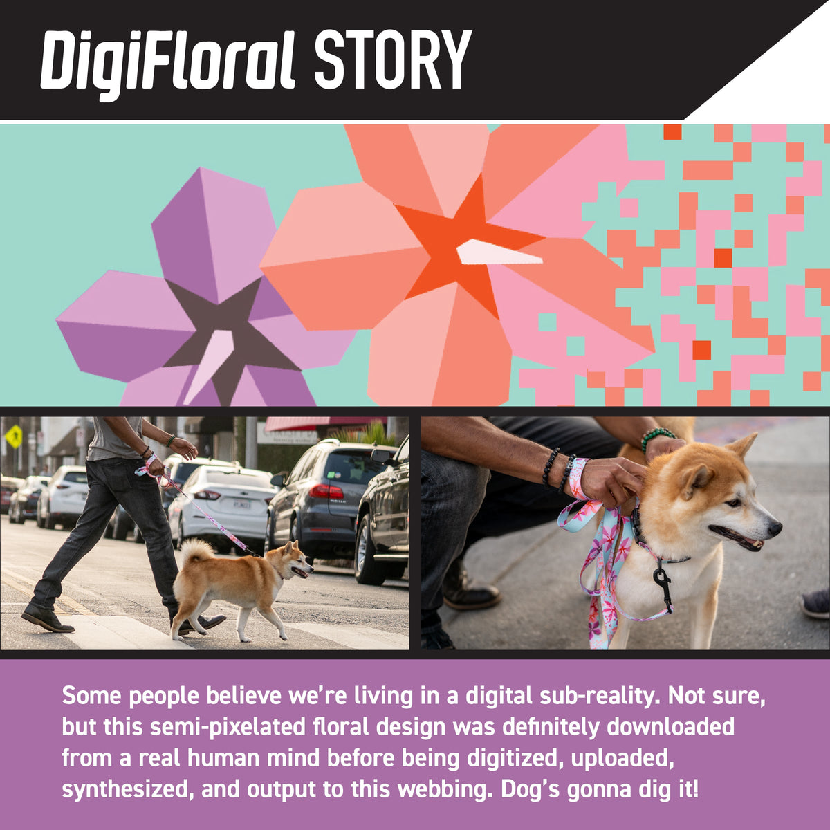 Wide Dog Collar product image 2