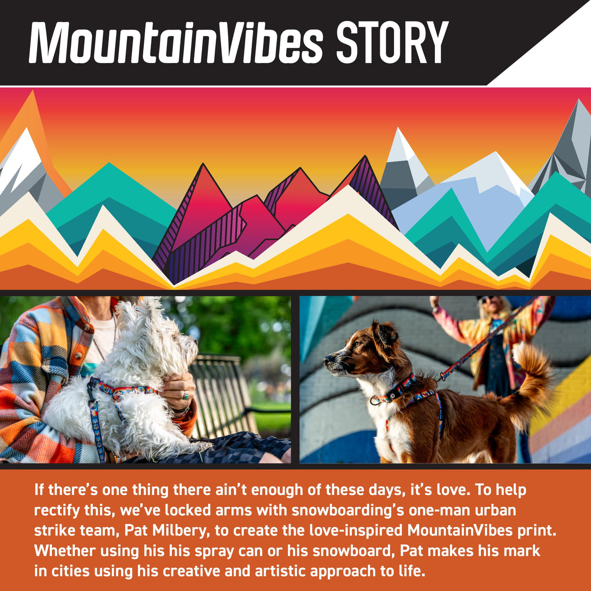 Wide Dog Collar product image 2