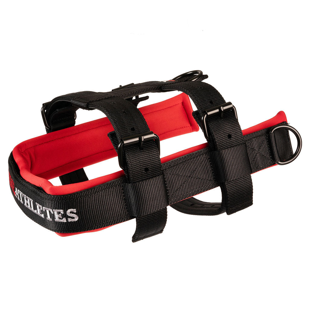 Working Dog Harness product image 2