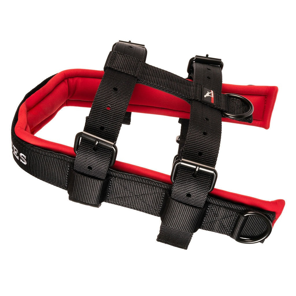 Working Dog Harness product image 4