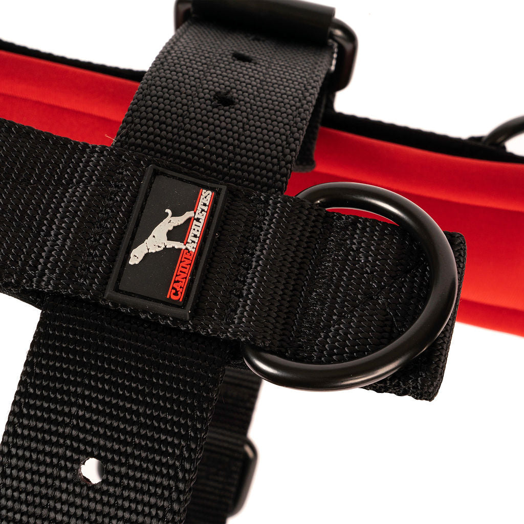 Working Dog Harness product image 9