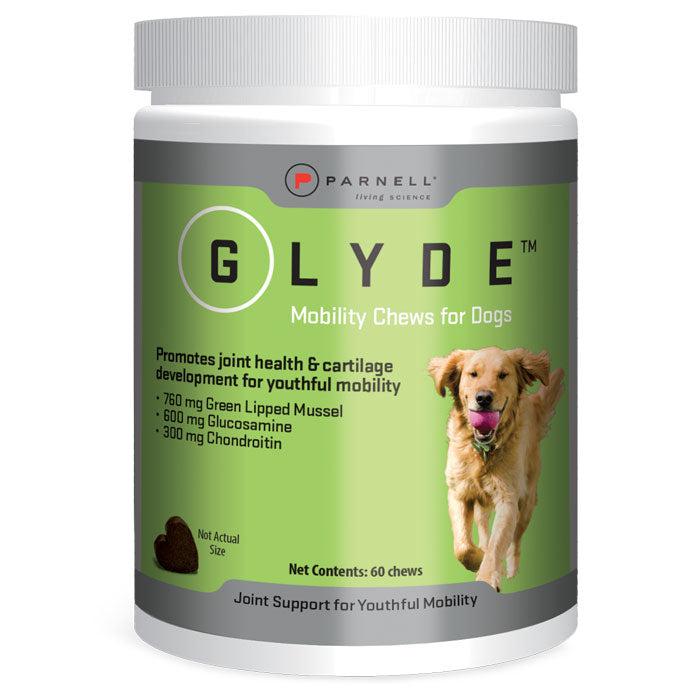 Dog Joint Supplement Chews product image 1
