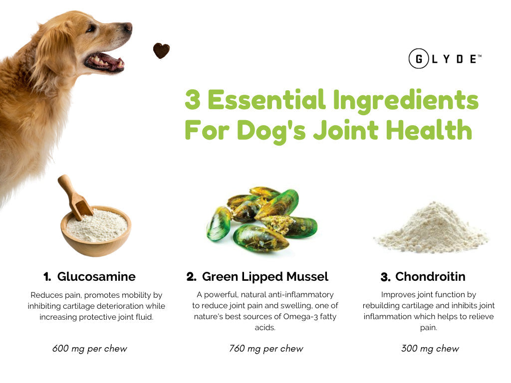 Dog Joint Supplement Chews product image 4