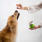 Dog Joint Supplement Chews product image 5